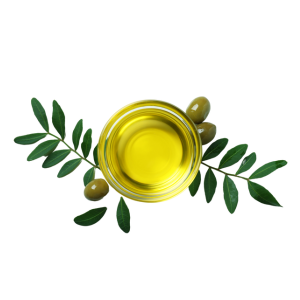 Olive Oil