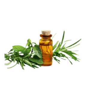 Tea Tree Oil