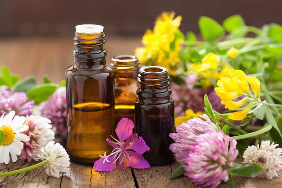 Essential and Fragrance Oil Bottles