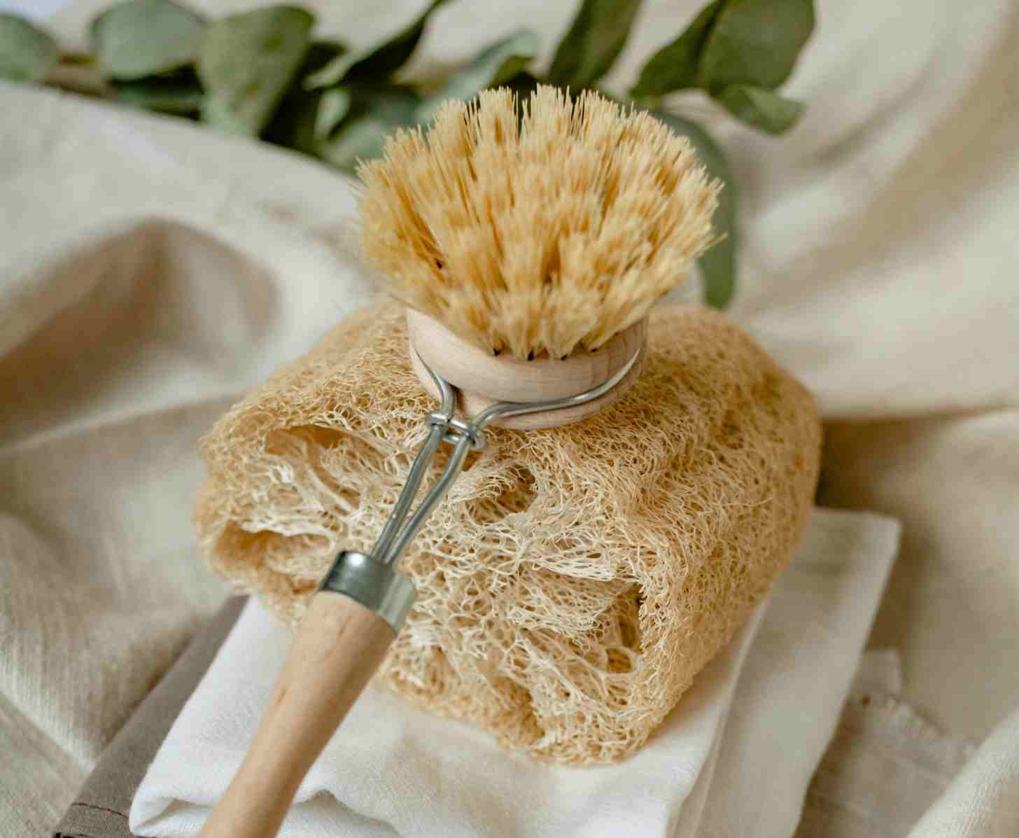 Wholesale Loofah Soap