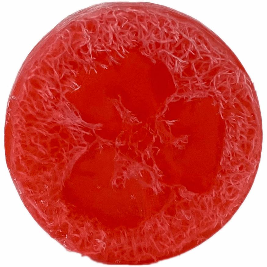 Candy Cane Loofah Soap