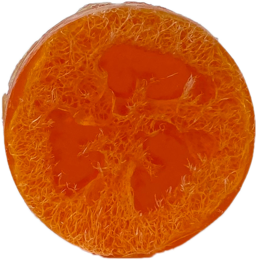 Cranberry Orange Loofah Soap