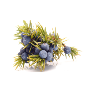 Juniper Berries