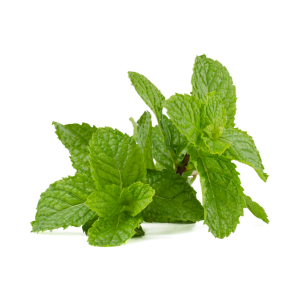 Peppermint Leaves