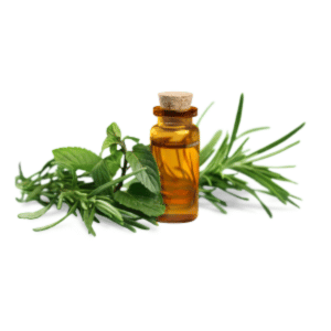 Rosemary Oil