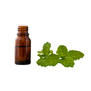 Spearmint Oil