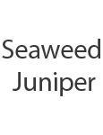 Wholesale Handmade Loaf - seaweed juniper